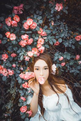三年免费在线观看！海量<strong>大片</strong>、<strong>动漫</strong>资源任你挑选？
